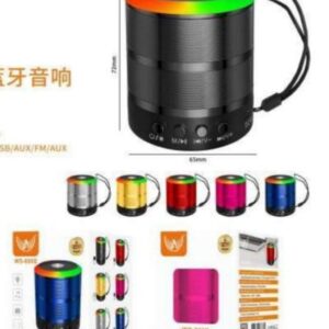 Caixa de som WS-889D